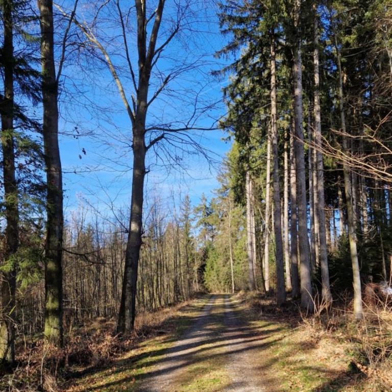 'Allgäus Finest Place '-Domizil zum Träumen und Erholen - Appartamento con 2 Camere da Letto - 39