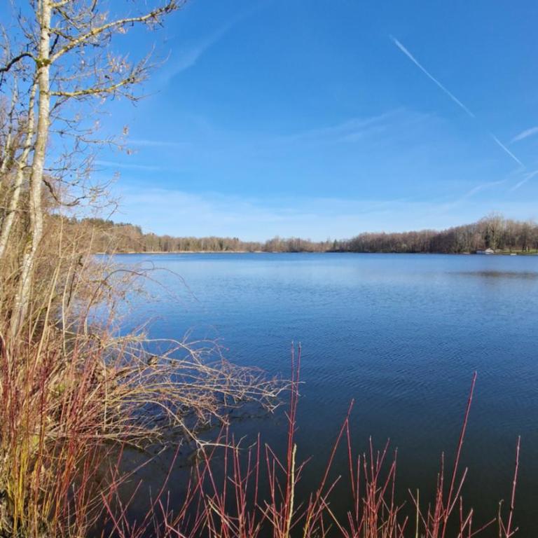 'Allgäus Finest Place '-Domizil zum Träumen und Erholen - Appartamento con 2 Camere da Letto - 37