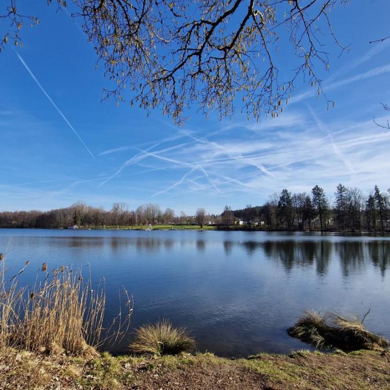 'Allgäus Finest Place '-Domizil zum Träumen und Erholen - Appartamento con 2 Camere da Letto - 35