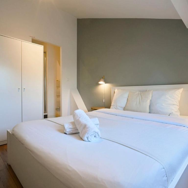 Lille Centre - Superbe appart. avec terrasse ! - Appartement - 24