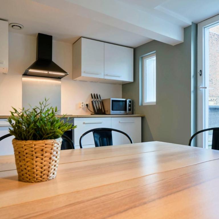 Lille Centre - Superbe appart. avec terrasse ! - Appartement - 17