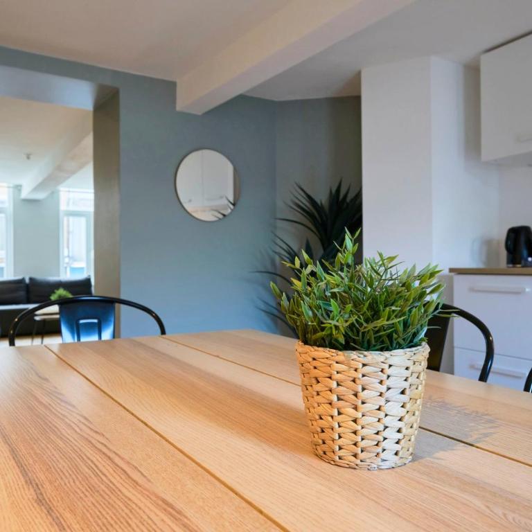 Lille Centre - Superbe appart. avec terrasse ! - Appartement - 15
