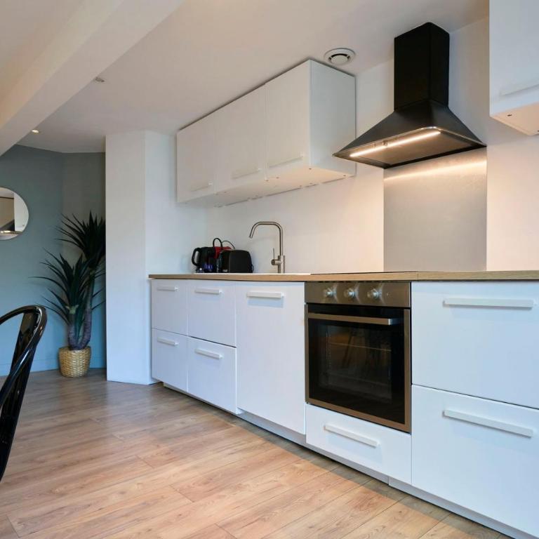 Lille Centre - Superbe appart. avec terrasse ! - Appartement - 49