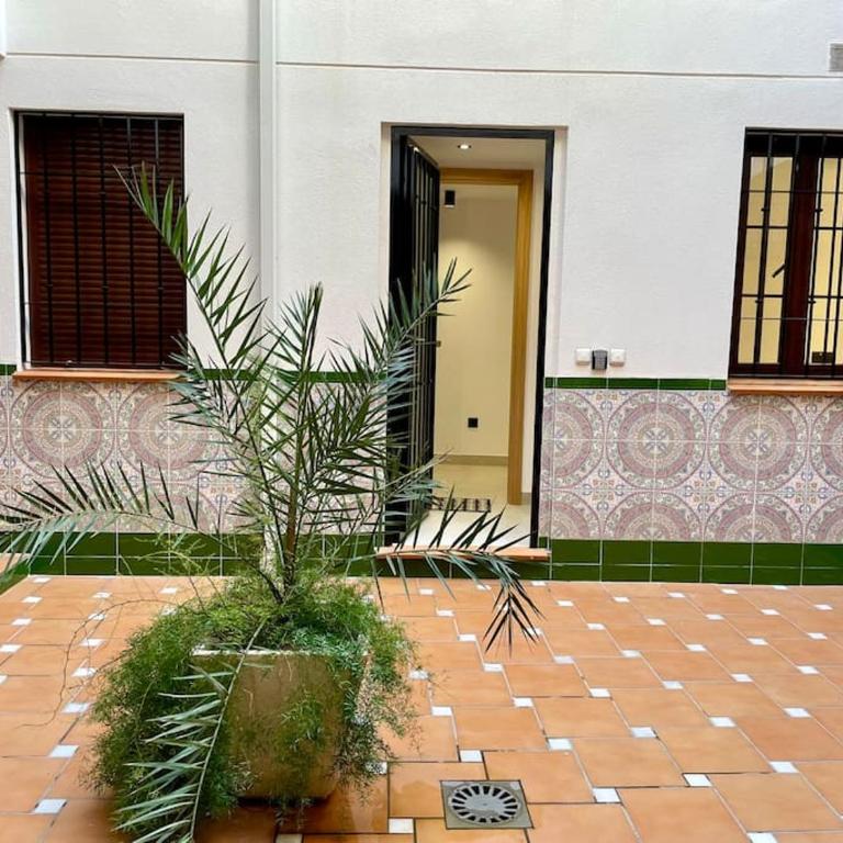 Geysotur Suite El Geranio - Three-Bedroom Apartment - 5
