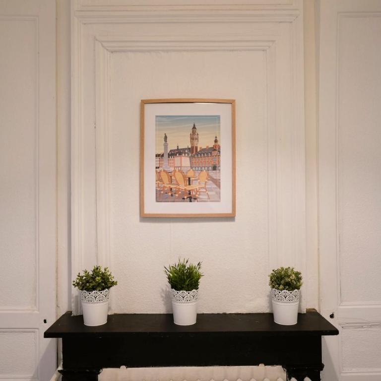Lille Centre - Large functional studio - Apartment - 17