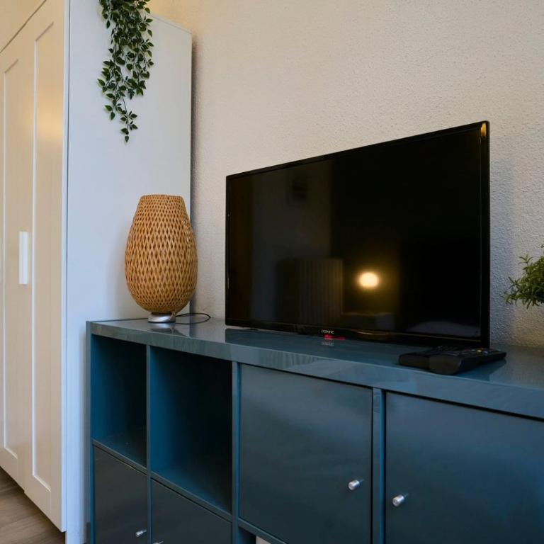 Lille Centre - Large functional studio - Apartment - 21
