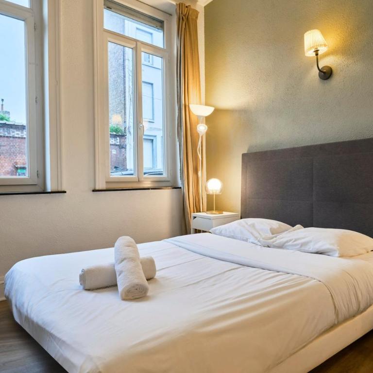 Lille Centre - Large functional studio - Apartment - 3