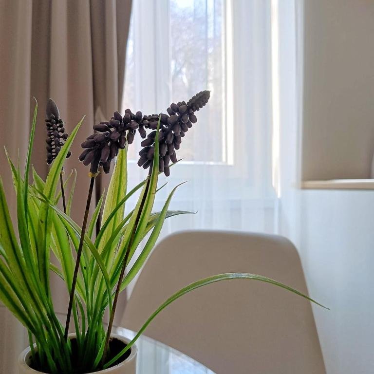 Tesa2 Casa Vacanze - Appartamento con 1 Camera da Letto - 9