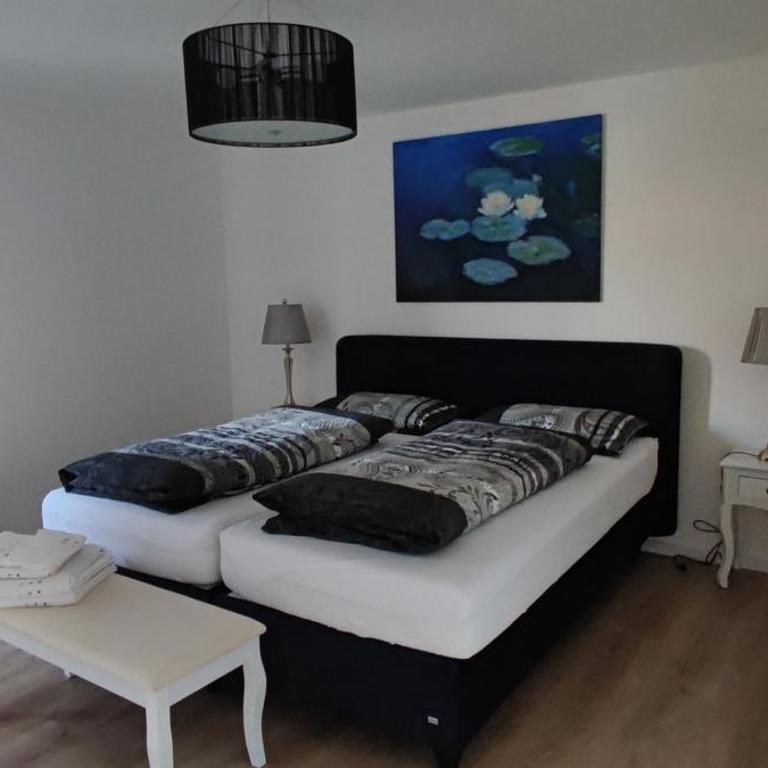 Ferienwohnung Fluhenstein - Apartment mit 1 Schlafzimmer und Badezimmer - 3