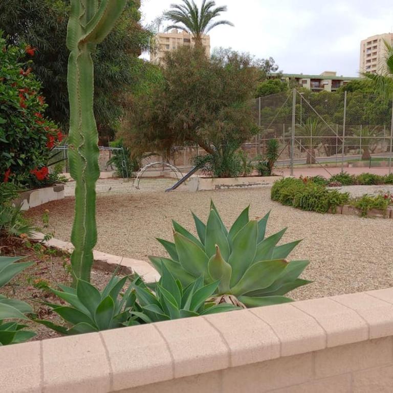 Paraíso Azul - Apartamento de 2 dormitorios - 48
