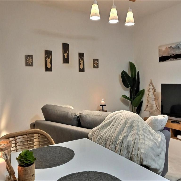 Snow Home by So'SerenityHome-Jardin-Parking-Calme - Appartement 1 Chambre - 6