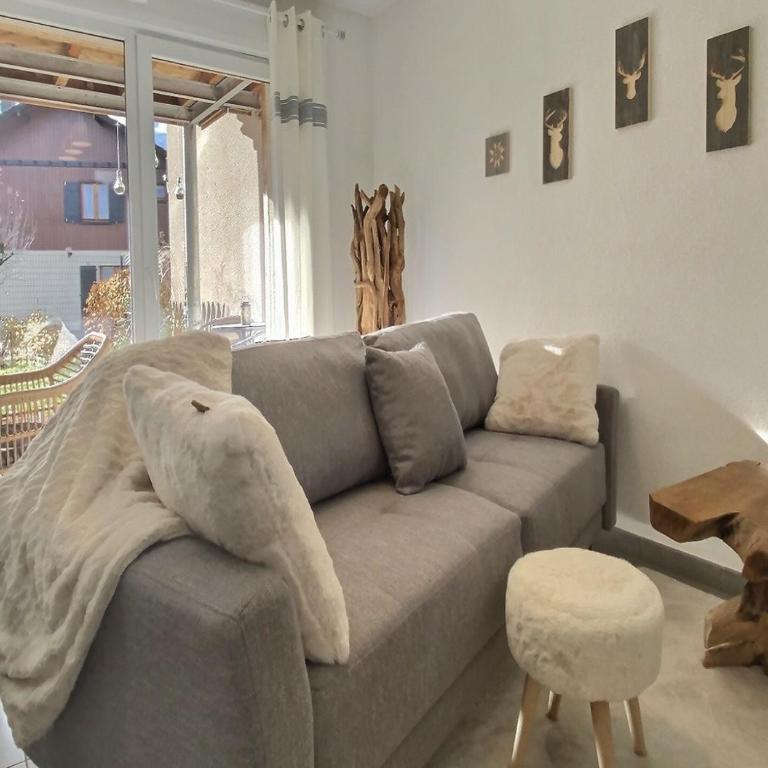 Snow Home by So'SerenityHome-Jardin-Parking-Calme - Appartement 1 Chambre - 10