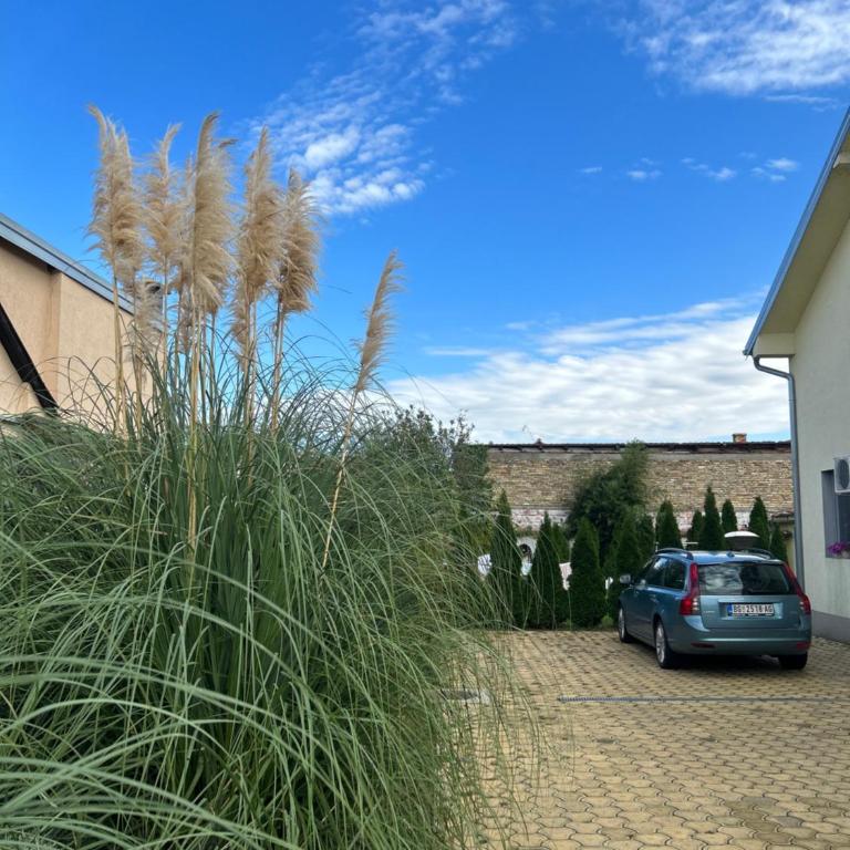 Nest ZEN garden - Apartman sa 2 Spavaće Sobe - 2