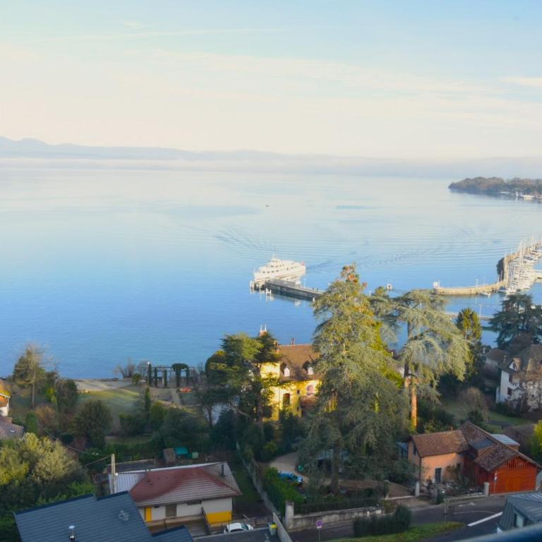Chez Émilie, vue à 180 sur le Lac Léman - Appartement 1 Chambre avec Vue sur la Baie - 20