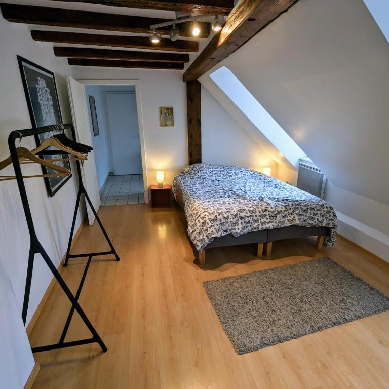 Appartement des Serruriers - Appartamento con 2 Camere da Letto - 7
