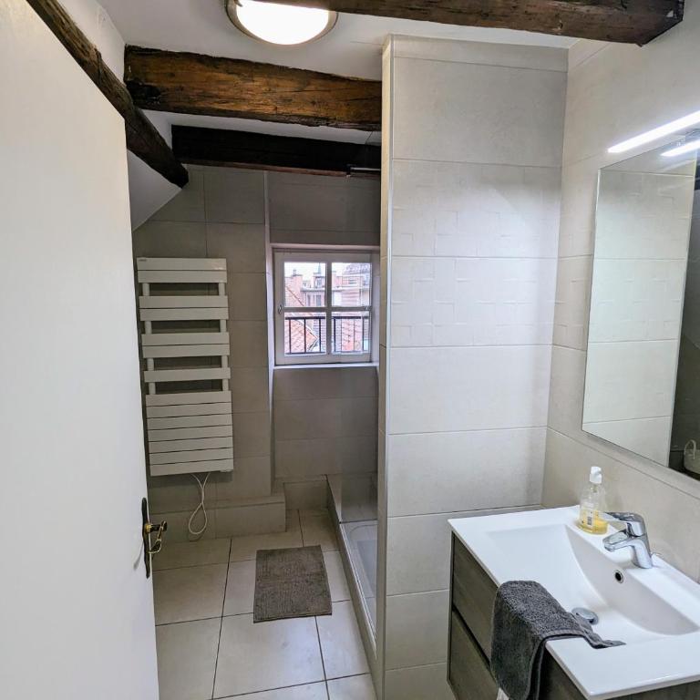 Appartement des Serruriers - Appartamento con 2 Camere da Letto - 14