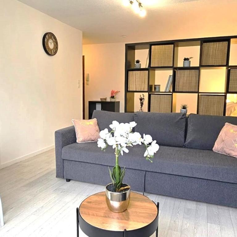 Le Jude - studio - lumineux - Studio - 1