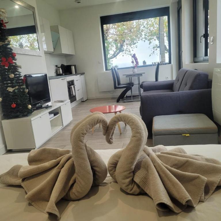 Appartement Cozy 1 Panoramique Lac Léman Thonon-Les-Bains - Appartement - 9