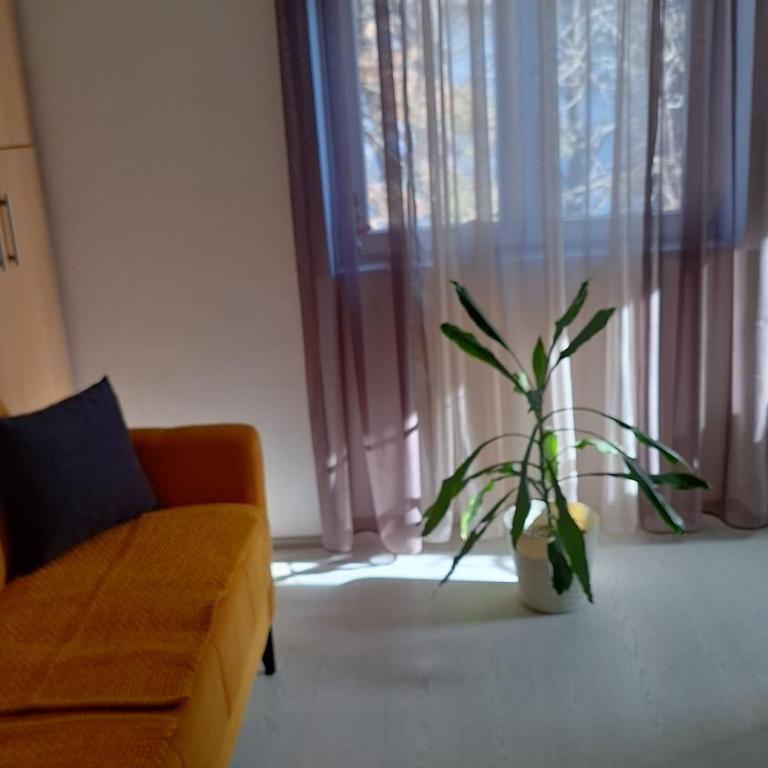 Apartman Maja - Apartman sa 1 Spavaćom Sobom - 20