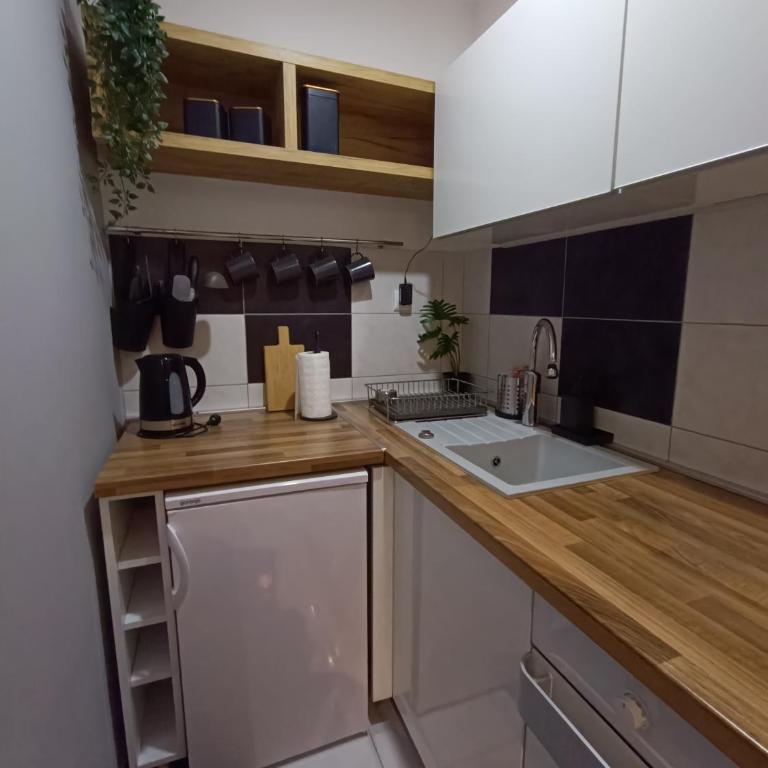 Apartment Triangle - Apartman sa Terasom - 16