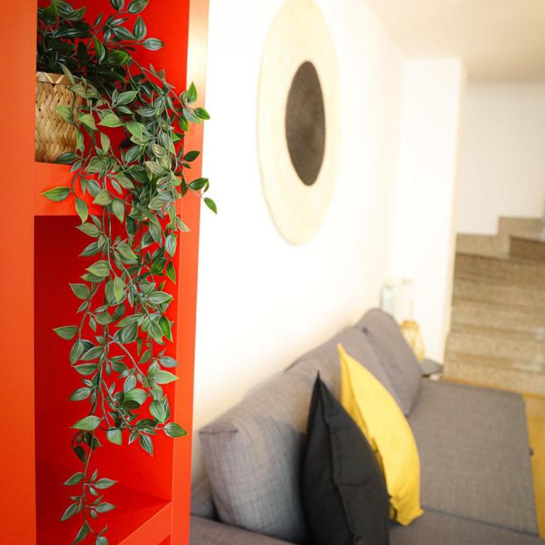 33 Pasos Catedral - 3 - Apartamento con balcón - 3