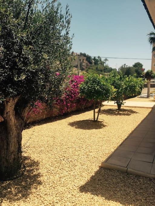 Villa Número Uno - Villa - 11