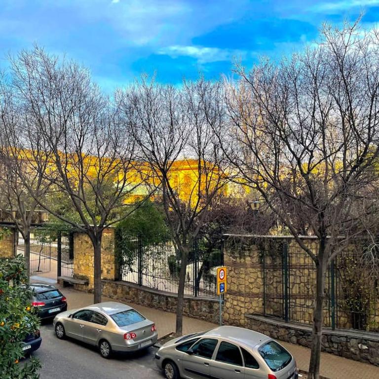 Elegancia junto al Rectorado. - Two-Bedroom Apartment - 19