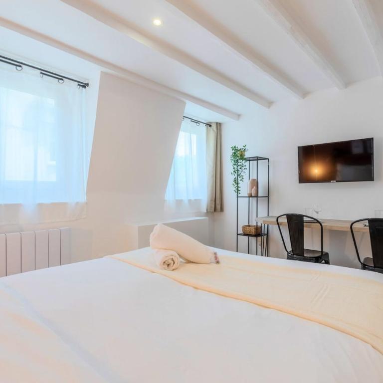 Lille center bright and functional studio - Appartement 1 Chambre - 2