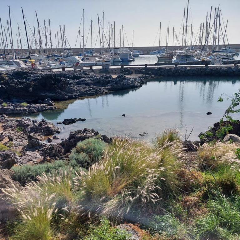 Ocean View Sunny Suite - Pool & Parking - Golf de Sur - Apartamento de 1 dormitorio - 32
