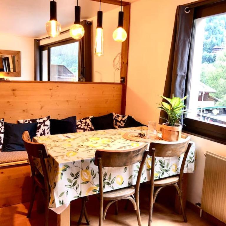 Apartement vue montage magnifique 2ch 5mn piste 3 - Appartement 2 Chambres - 16