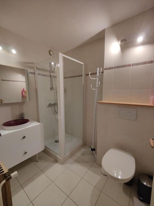 Apartement vue montage magnifique 2ch 5mn piste 3 - Appartement 2 Chambres - 21