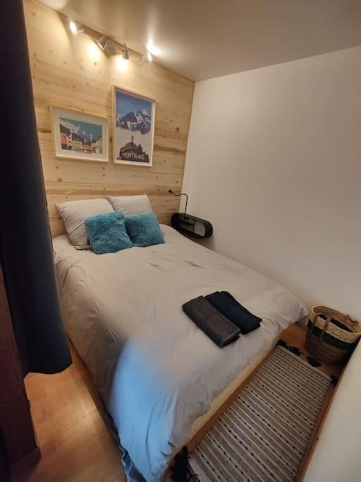 Apartement vue montage magnifique 2ch 5mn piste 3 - Appartement 2 Chambres - 24