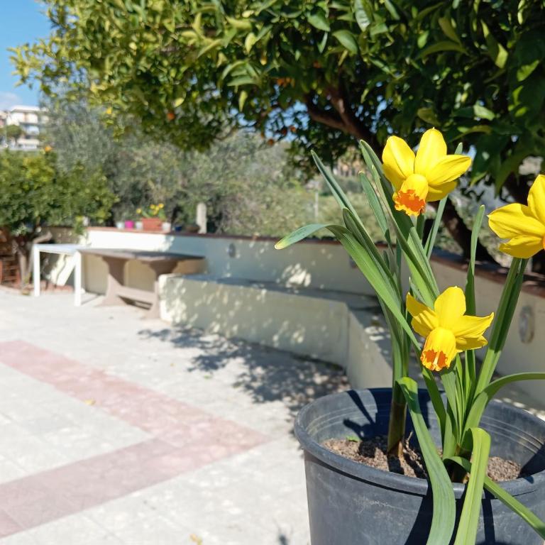 Ai tre desideri la casita - Casa con 1 Camera da Letto - 23
