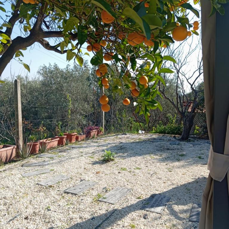 Ai tre desideri la casita - Casa con 1 Camera da Letto - 25