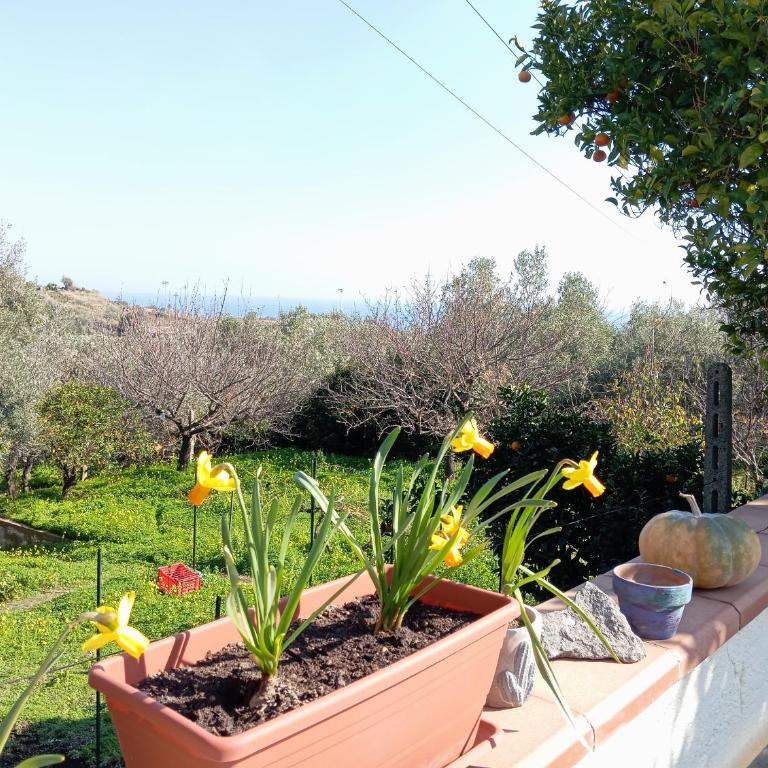 Ai tre desideri la casita - Casa con 1 Camera da Letto - 26