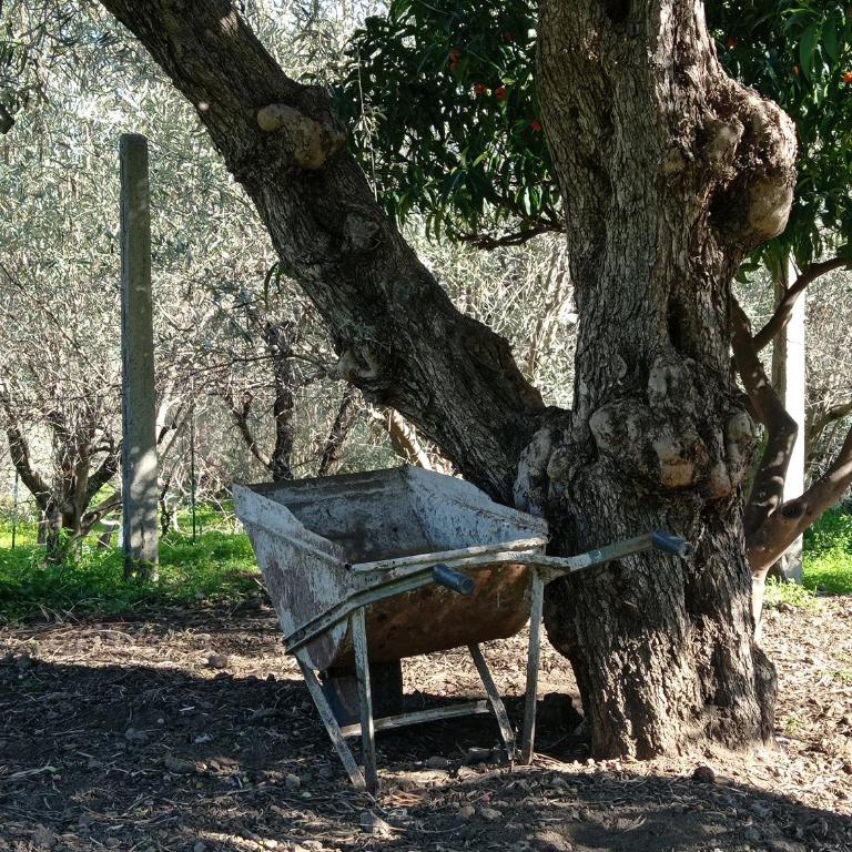 Ai tre desideri la casita - Casa con 1 Camera da Letto - 43