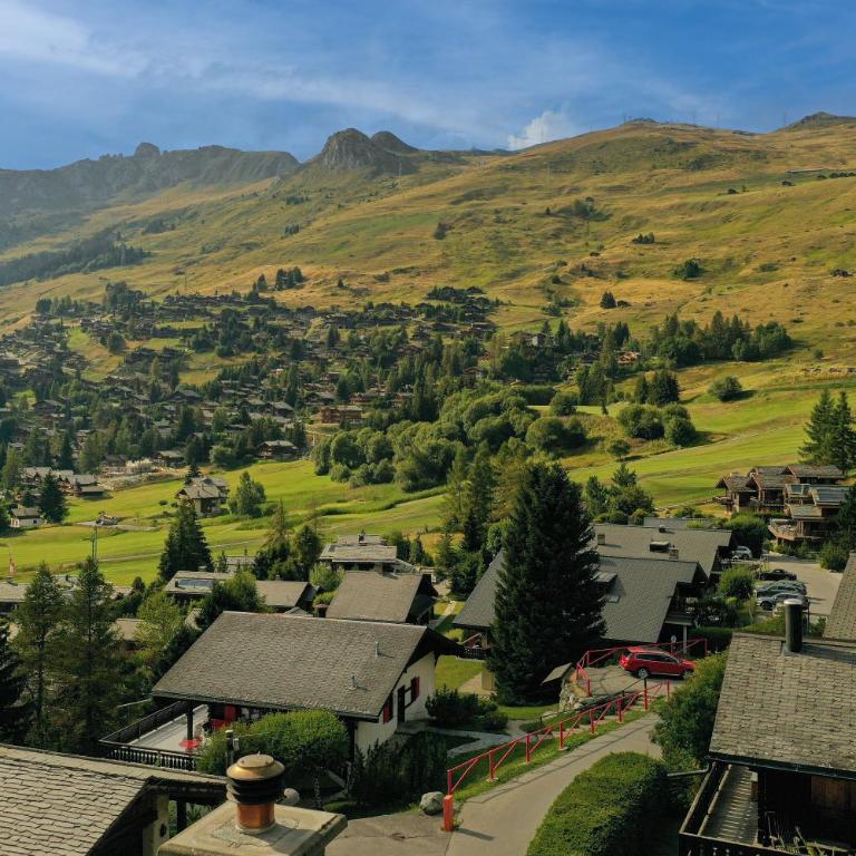 Chalet Alexandre - Chalet - 29
