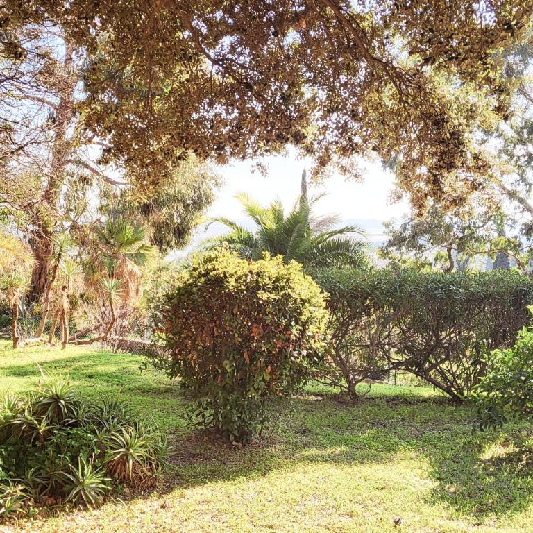 La Suite Costabella à Hyères-les-Palmiers - Appartamento con 1 Camera da Letto - 3