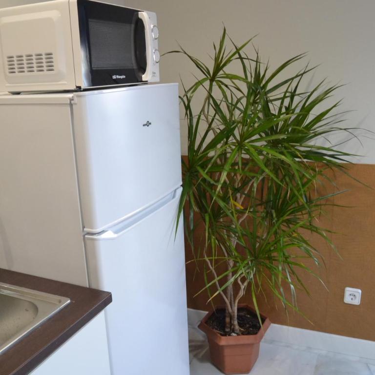 Homelikes Madrid - Apartamento de 1 dormitorio - 12