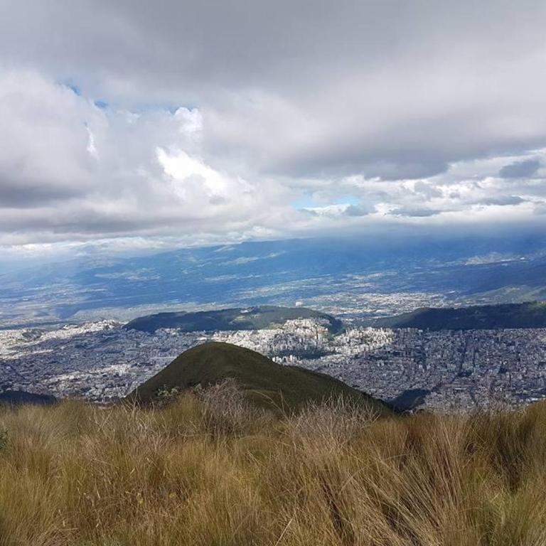 Ecuador4worlds - One-Bedroom Apartment - 12
