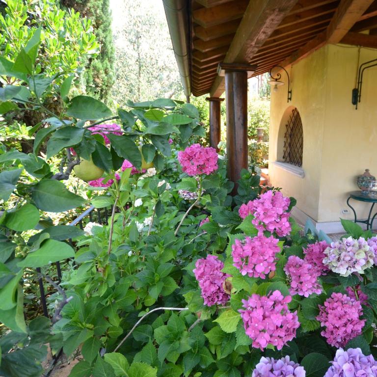 Villa Mocarello - Appartamento con 1 Camera da Letto - 66