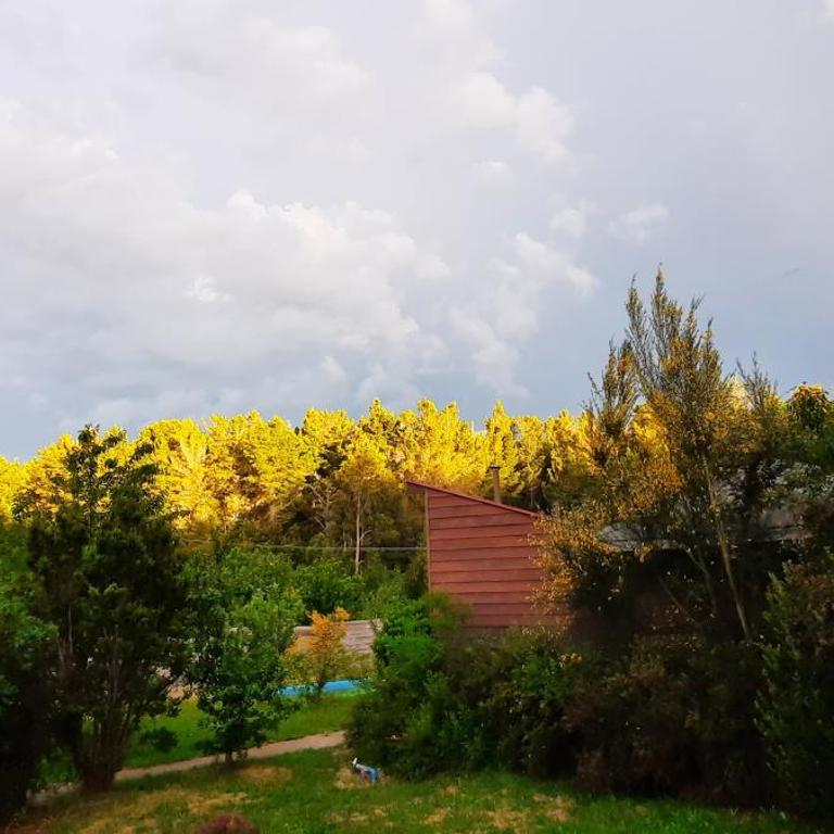 Rústico Punucapa - One-Bedroom Chalet - 3