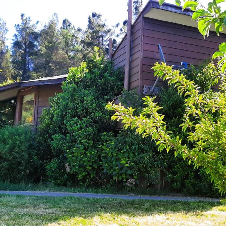 Rústico Punucapa - One-Bedroom Chalet - 5