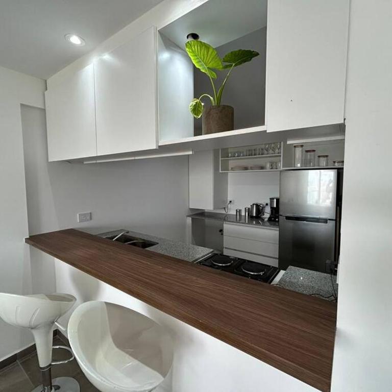 Modern apartament with balcony La Plata Soho - One-Bedroom Apartment - 16