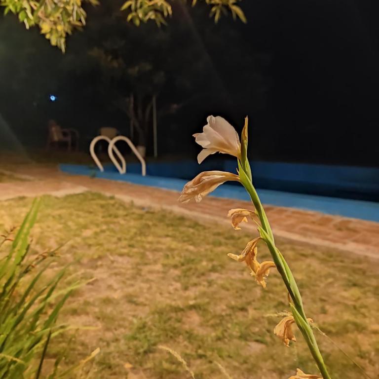 La escondida - Two-Bedroom House - 41