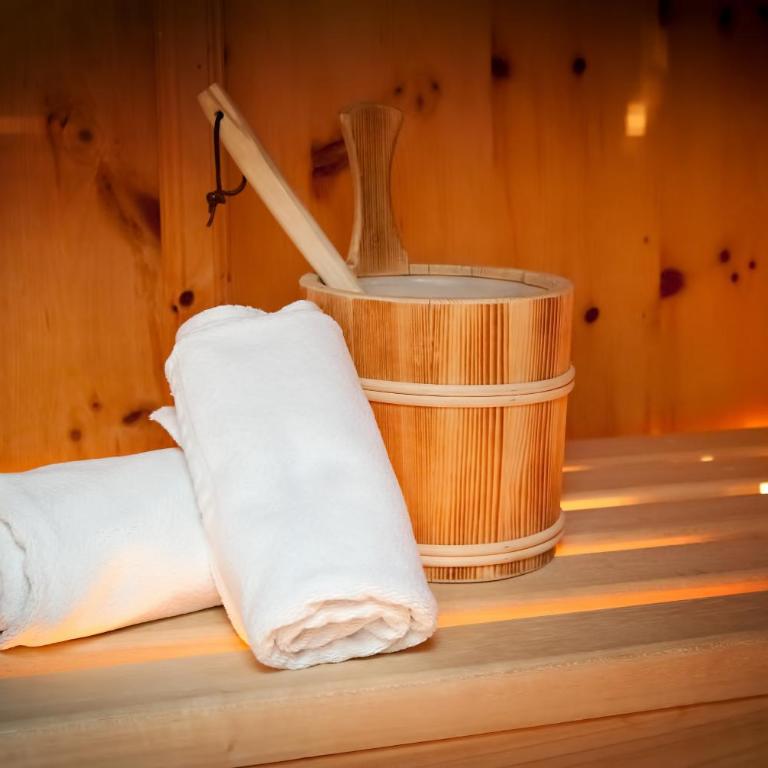 Alpenbad Hotel Hohenhaus - Penthouse Suite - 3