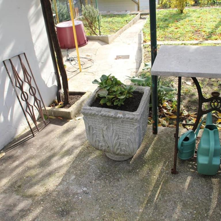 Il Gelsomino - Casa Vacanze - 16