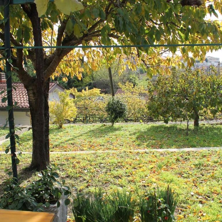 Il Gelsomino - Casa Vacanze - 25