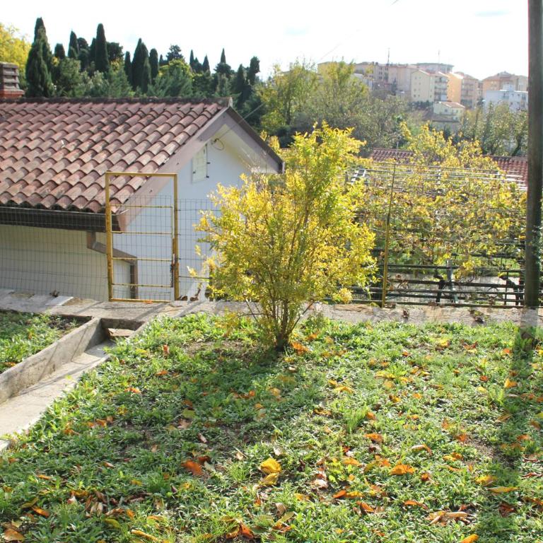 Il Gelsomino - Casa Vacanze - 28