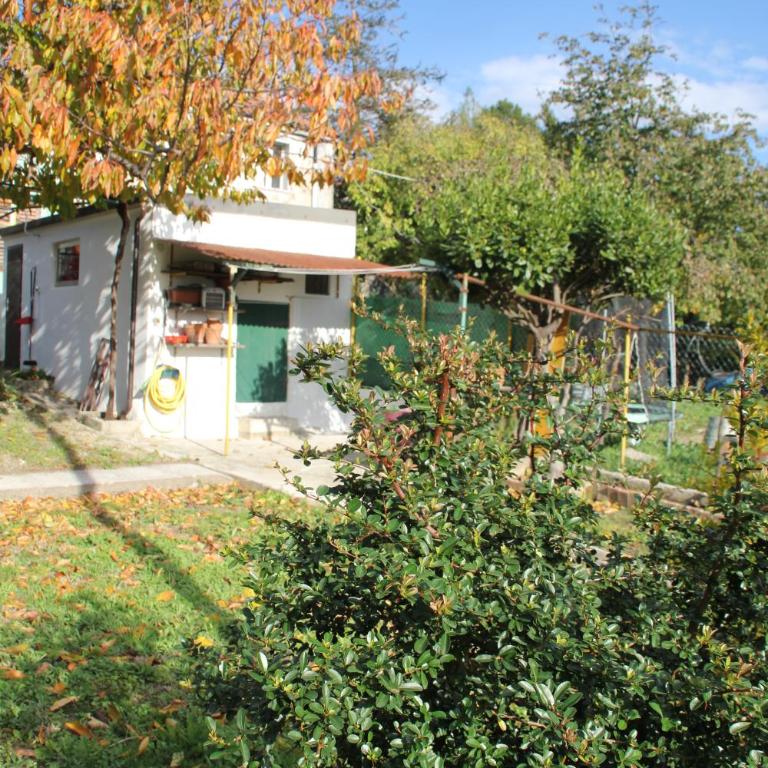 Il Gelsomino - Casa Vacanze - 30
